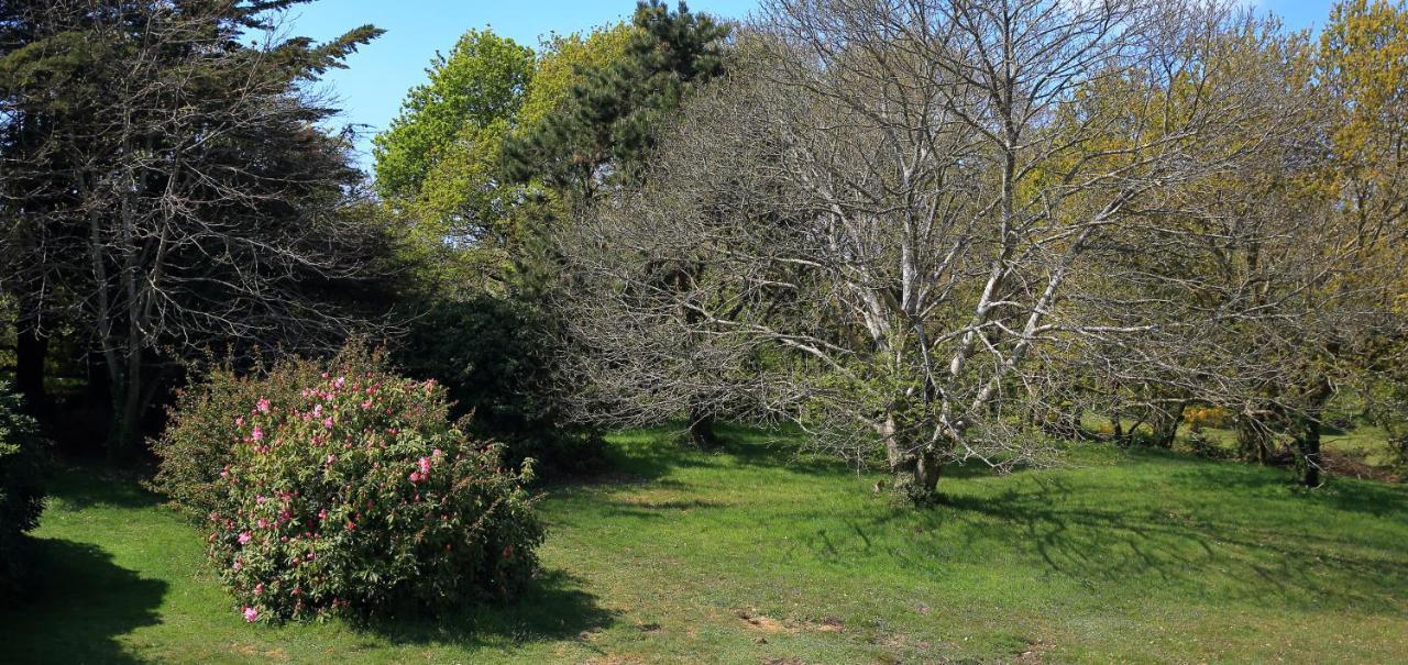 Aux Arbres Chanteurs Ploulech エクステリア 写真