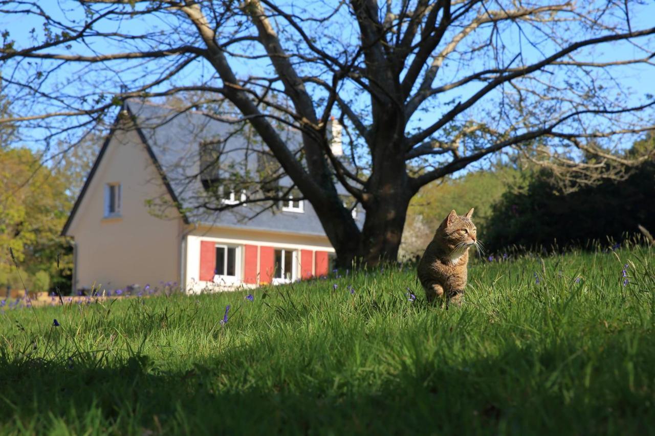 Aux Arbres Chanteurs Ploulech エクステリア 写真