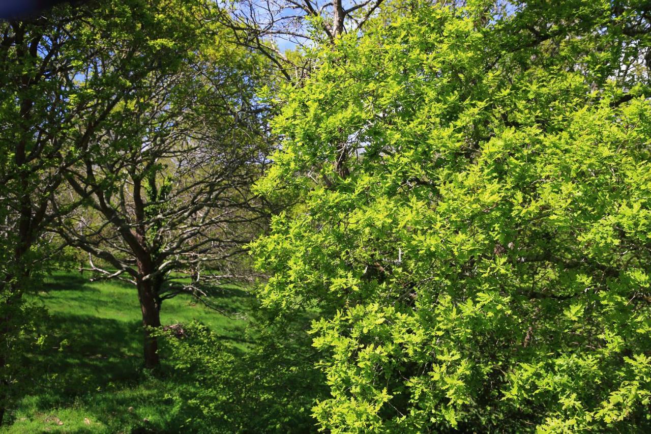Aux Arbres Chanteurs Ploulech エクステリア 写真