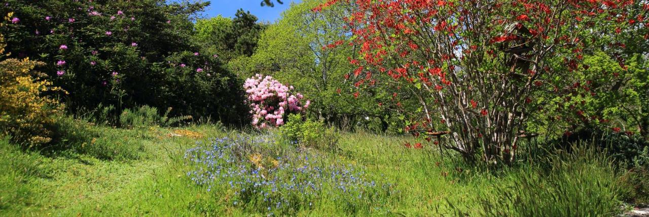 Aux Arbres Chanteurs Ploulech エクステリア 写真